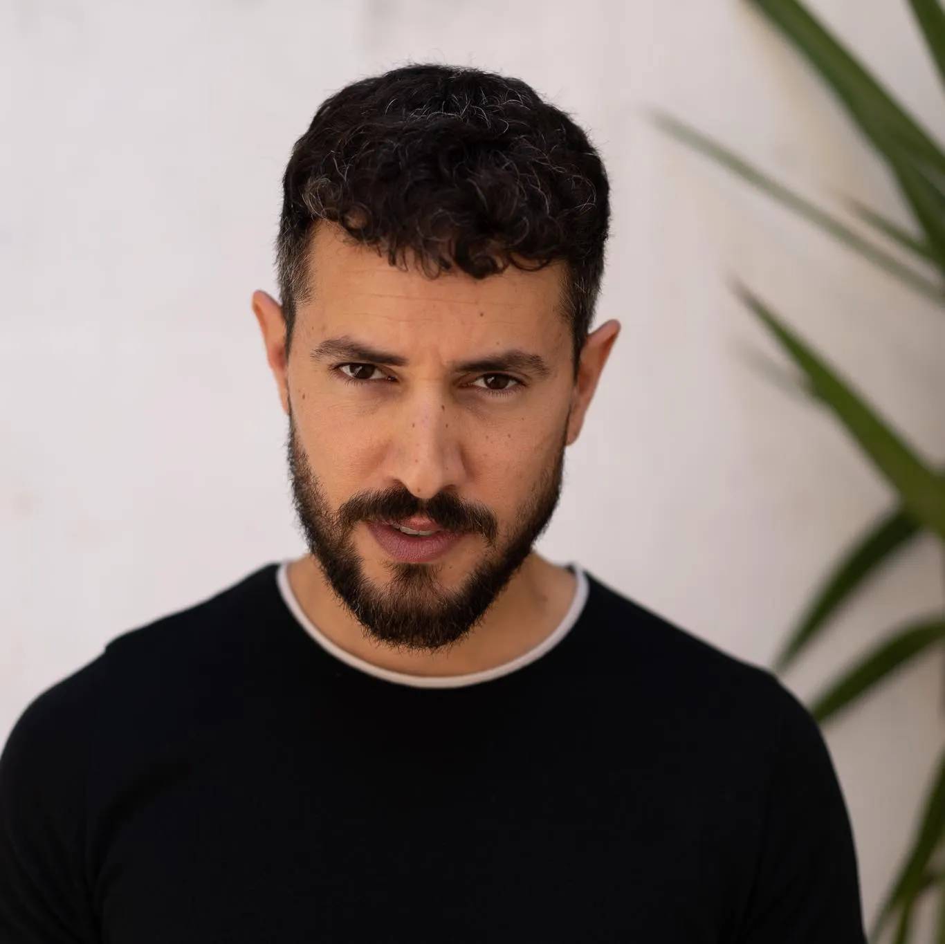 עמית טרי - תמונה ממוזערת 2